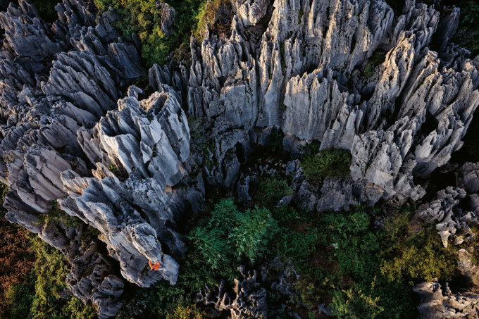 Rừng đá 270 triệu năm tuổi